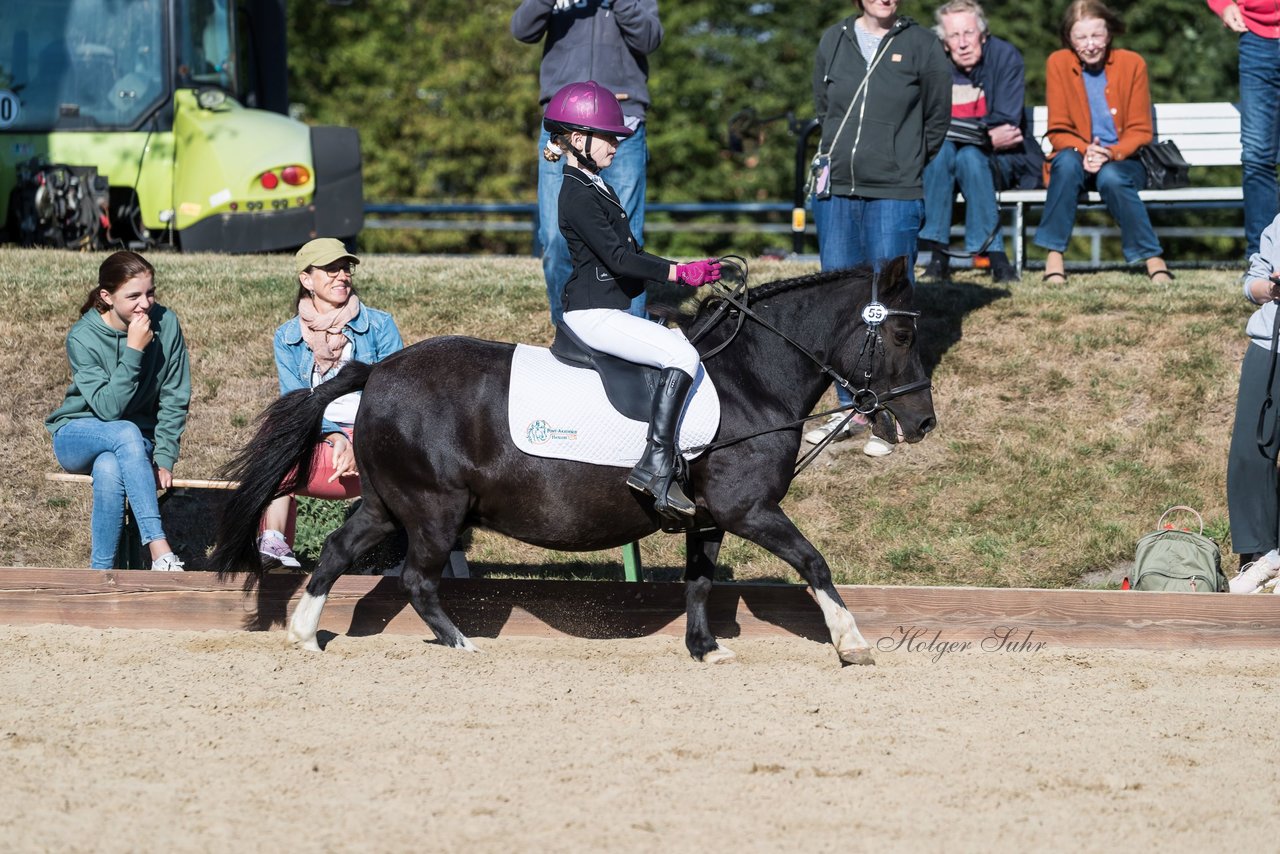 Bild 70 - Pony Akademie Turnier